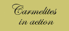 Carmelites In Action
